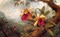 Orchids And Hummingbird Poster Print by Martin Johnson Heade - Item # VARPDX375808